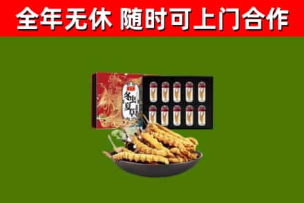 平果市回收冬虫夏草价格