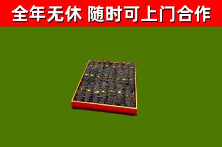平果市回收海参